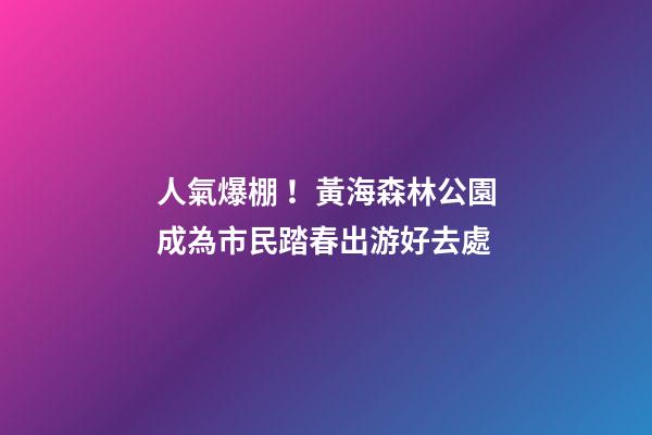 人氣爆棚！黃海森林公園成為市民踏春出游好去處